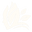 essencedelys.com favicon